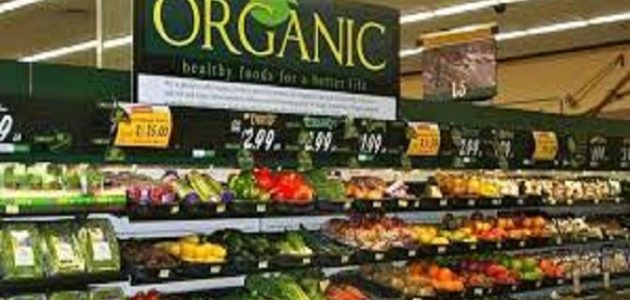 دراسة جدوى سوبر ماركت عضوي