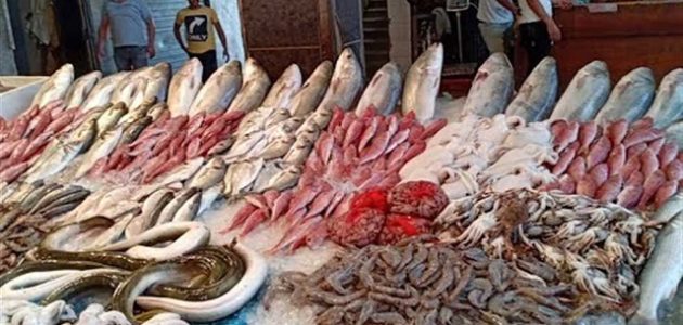 أماكن بيع السمك بالجملة في مصر