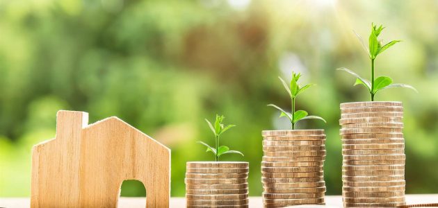 كيف تحقق Margin1 أقصى استفادة من استثمار أموالك؟