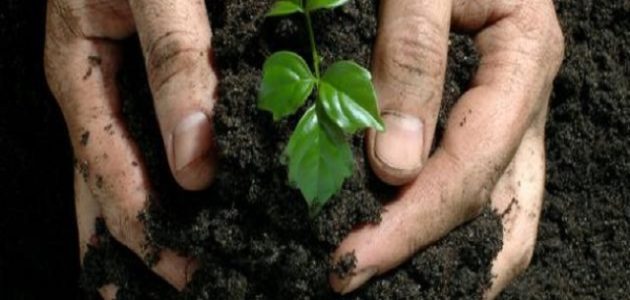 أهمية الزراعة في الوطن العربي