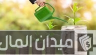 أسماء شركات التمويل متناهي الصغر في مصر بالترتيب