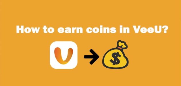 الربح من تطبيق veeu