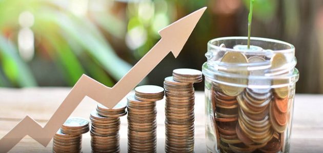 دراسات جدوى الصندوق الإجتماعي للتنمية