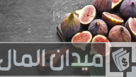 دراسة جدوى زراعة التين البرشومي وكم ينتج الفدان