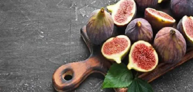 دراسة جدوى زراعة التين البرشومي