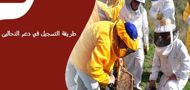 طريقة التسجيل في دعم النحالين 