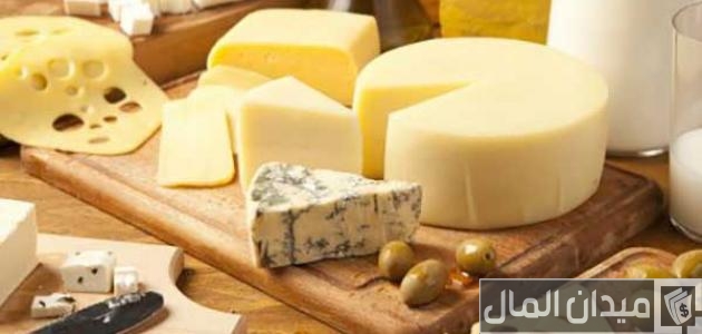 كيفية صناعة الجبن في المصانع