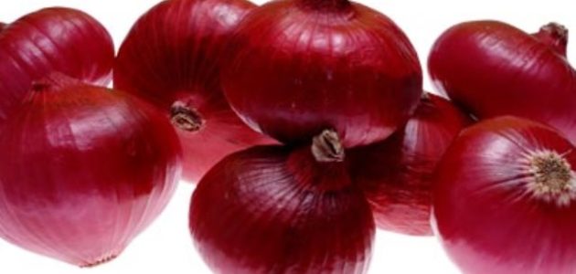 زراعة البصل في الأراضي الصحراوية