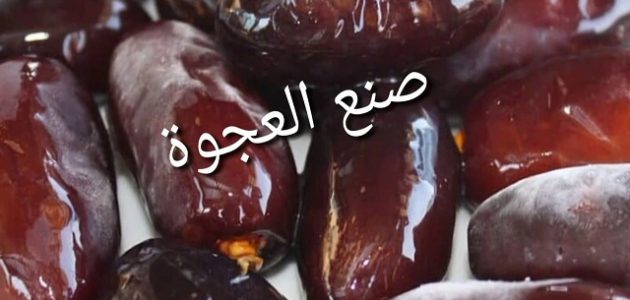 مشروع صناعة قوالب العجوة في المنزل