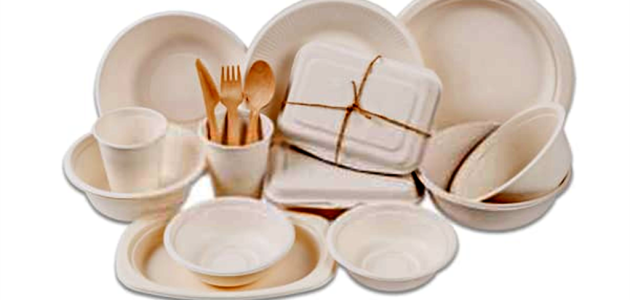 تكلفة انشاء مصنع اطباق فوم