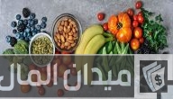 دراسة جدوى مشروع مدونة او موقع عن الرجيم والتخسيس وطرق الربح منها