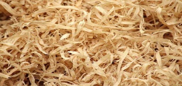 أماكن بيع نشارة الخشب في مصر