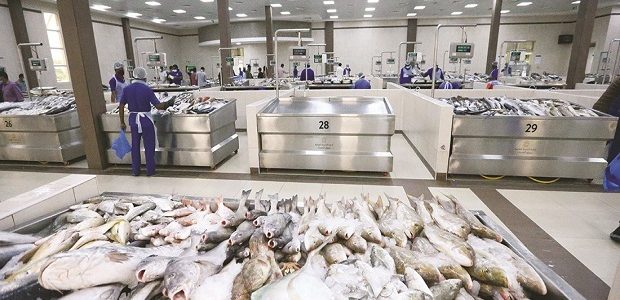 مواعيد سوق السمك عجمان