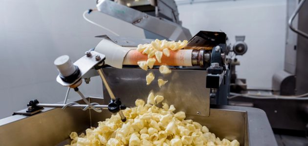 دراسة جدوى مشروع مصنع شيبسي