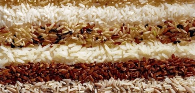 أفضل أنواع الأرز البسمتي