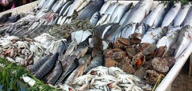 أسعار السمك اليوم 20-4-2024 في مصر