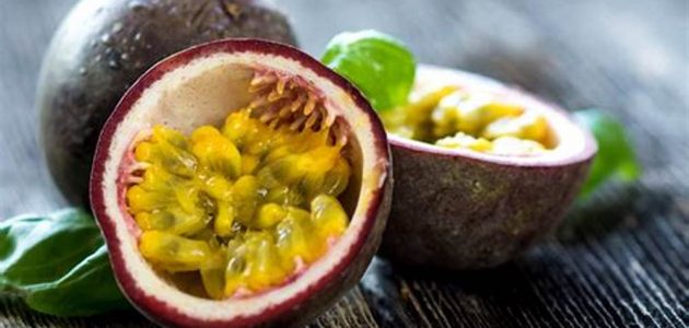 ما هي خطوات تصدير الفواكه من مصر؟