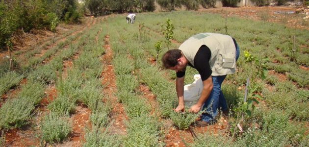 «تصديرى الحاصلات» يطلق مبادرة لدعم تعاقد المزارعين مع شركات الإنتاج والتصدير