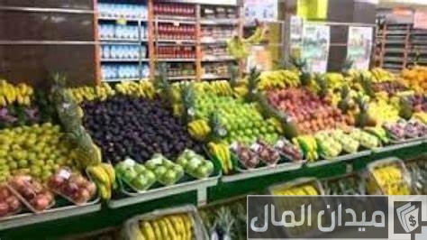 مشروع محل خضار وفواكه في مصر