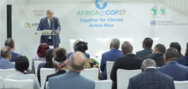 وزيرة البيئة تبحث مع بنك التنمية الأفريقي تعزيز إشراك القطاع الخاص في دمج البعد البيئي