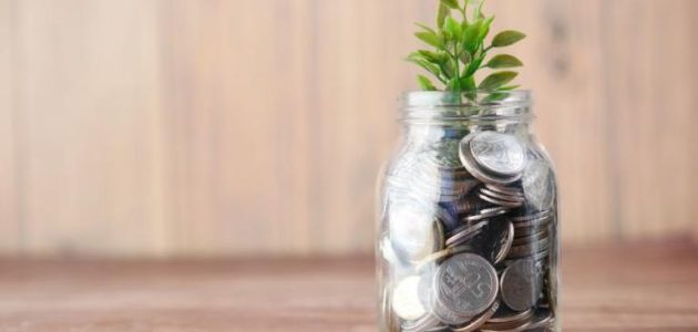 ما هي شهادات الاستثمار ومميزاتها وعيوبها؟