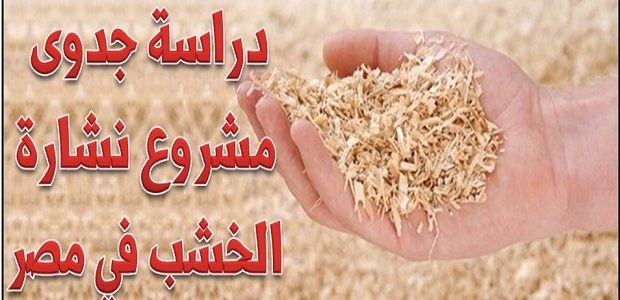 مشروع نشارة الخشب فاشل أم مربح