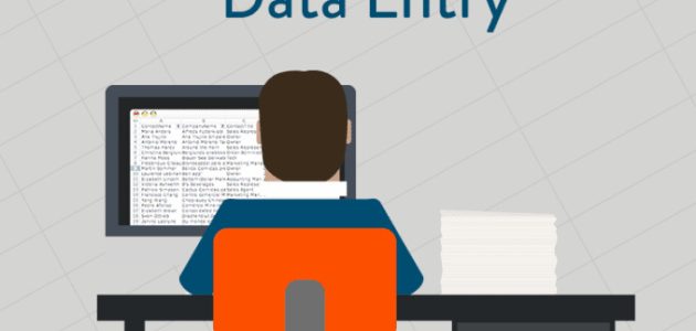 البرامج التي يستخدمها مدخل البيانات