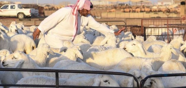 الفرق بين الحري والنعيمي