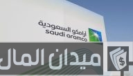 تخصيص 60% من عرض أسهم أرامكو السعودية لصناديق أجنبية