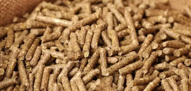 سعر شيكارة العلف 50 كيلو اليوم