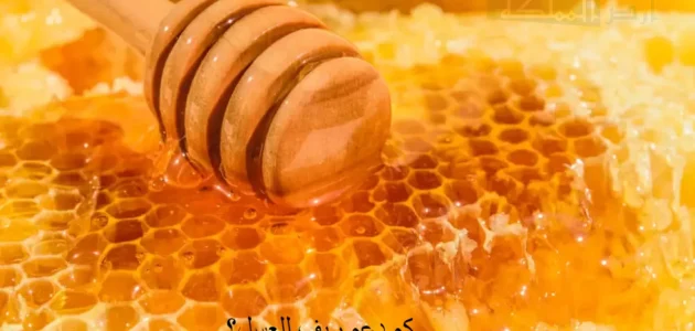 كم دعم ريف للعسل