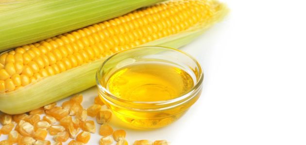 كم ينتج طن الذرة من الزيت