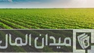 أفكار مشاريع زراعية ناجحة في تركيا مربحة ومضمونة