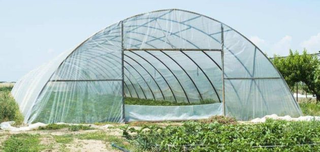 مشروع الصوب الزراعية