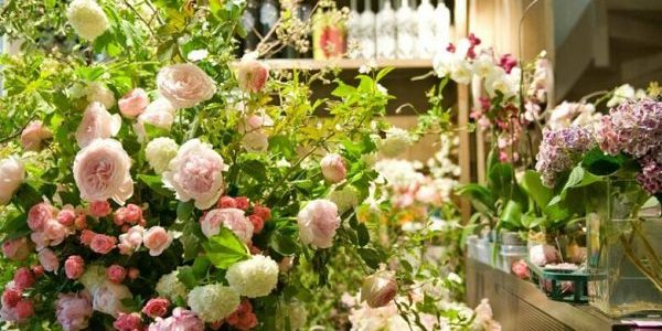 مشروع الورد