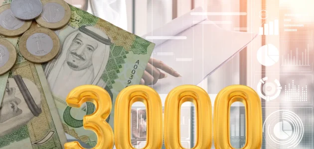 مشروع دخله اليومي 3000 ريال