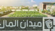 دراسة مشروع زراعة أسطح المنازل