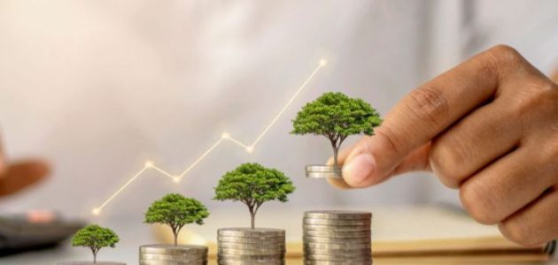 معدل العائد على رأس المال