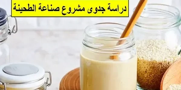 دراسة جدوى مشروع صناعة الطحينة