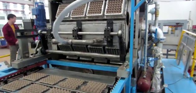 تكلفة خط إنتاج أطباق البيض الكرتون