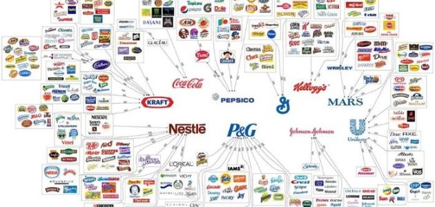 أرقام شركات مواد غذائية في مصر