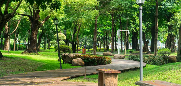 أسعار ومواعيد دخول حديقة الراشدية عجمان