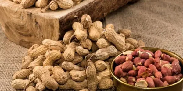 أكثر دول العالم إنتاجًا للفول السوداني