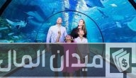 مواعيد عمل مربى الشارقة أكواريوم الأحياء المائية