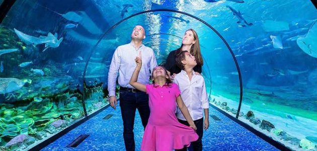 أوقات عمل مربى الشارقة أكواريوم الأحياء المائية