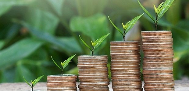 الأنشطة المسموح بها للمستثمر الأجنبي