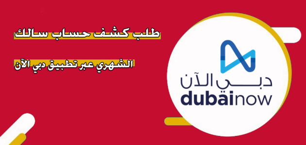 الاستعلام عن رصيد سالك دبي