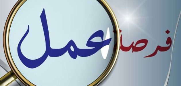 البحث عن عمل في الجزائر