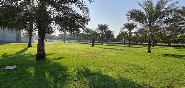 الدليل الكامل حديقة الراشدية عجمان