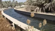 من هو الملك الذي أنشأ مشروع الري والصرف في الأحساء